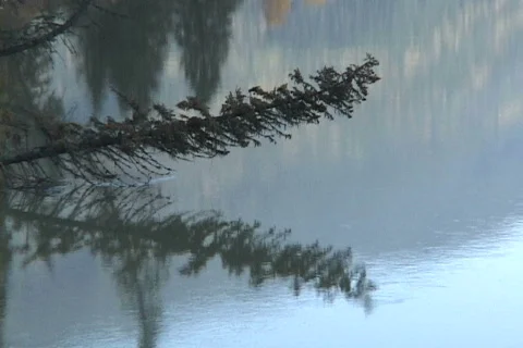 Thompson River quiet image Stock Footage 370895