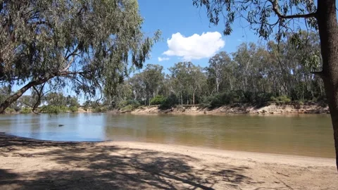 Thomsons Beach with red gums Eucalyptus on the Murray River in Cobram. Stock Footage 261273927