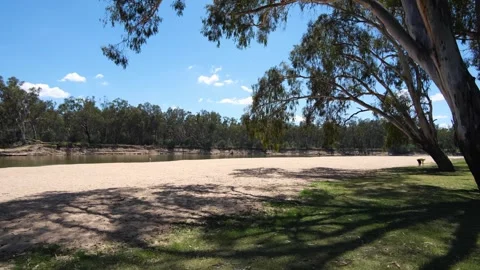 Thomsons Beach with red gums Eucalyptus on the Murray River in Cobram. Vídeo Stock 261274124