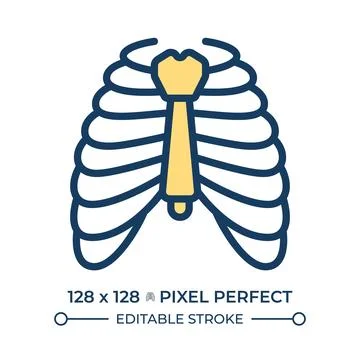 Thoracic rib cage structure pixel perfect line color icon Stock Illustration