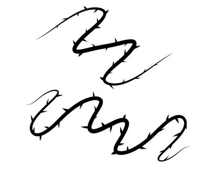 Thorn branch or vine Stock Illustration