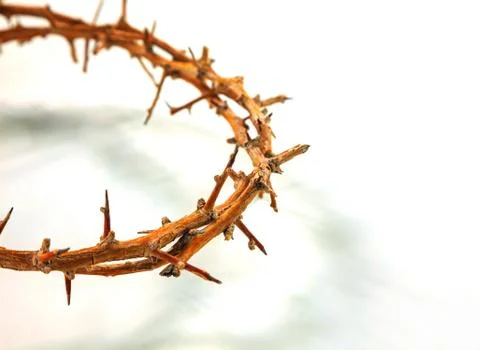Thorn crown  close up Stock Photos