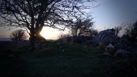 Thorn Tree Sunset on Rocky Hillside Cuilcagh Mountain Park Northern Ireland Stock Footage 99182337