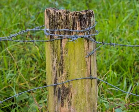 Thorn wire in a post Stock Photos