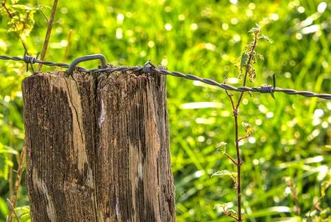 Thorn wire in a post Stock Photos