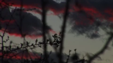 Thorns and red clouds Stock Footage 63858437