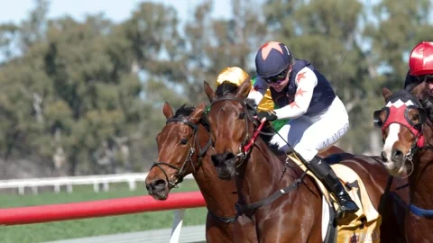 Thoroughbred Horses and Jockeys Galloping During Competitive Racetrack Event Stock Footage 341393841