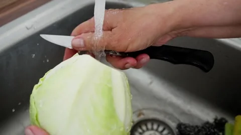 Thoroughly Washing and Chopping Cabbage for Various Healthy and Delicious Stock Footage 316819630