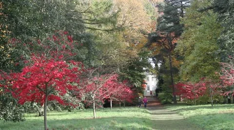 Thorpe perrow Stock-Footage 12701247