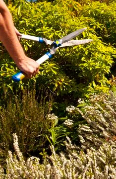 Those famous shears Stock Photos
