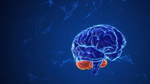 Thought processes in the brain with plexus Stock Illustration