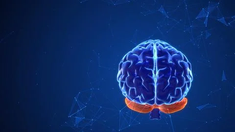 Thought processes in the brain with plexus Stock Illustration