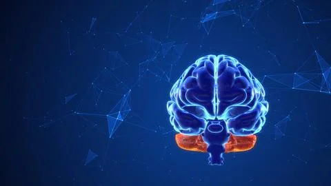 Thought processes in the brain with plexus Stock Illustration