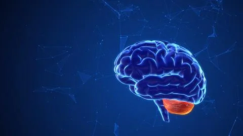 Thought processes in the brain with plexus Stock Illustration