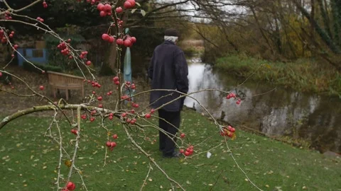 Thoughtful Elderly Man Contemplating Life Stock Footage 69984521