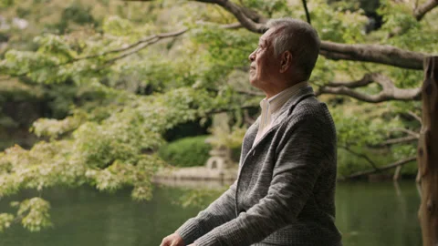 Thoughtful elderly man sitting calmly by a pond in a peaceful garden with soft n Stock Footage 199455348