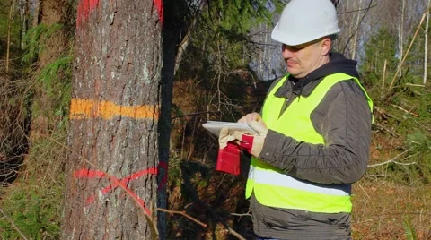 Thoughtful forest engineer with tablet PC near tree in the forest Stock Footage 43597179