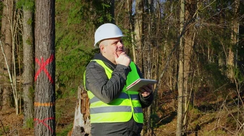 Thoughtful forest engineer with tablet PC near tree in the forest Stock Footage 43597359