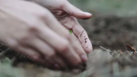 Thoughtful future planting a sapling for a greener earth Stock Footage 151927016