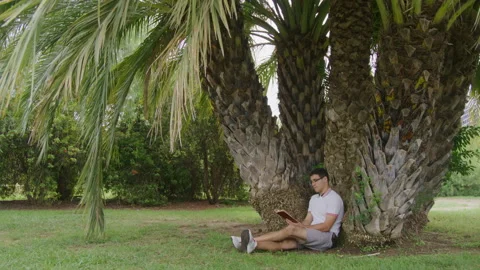 Thoughtful student trying to study in beautiful urban park with lush greenery Stock Footage 236037623