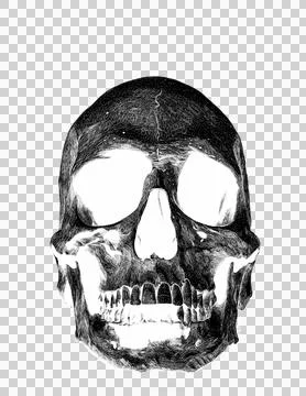 Thoughts in the head skull Illustrazione stock