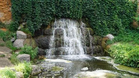 With thoughts of peace 스톡 사진