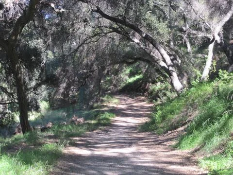 Thousand Oaks, CA 스톡 사진