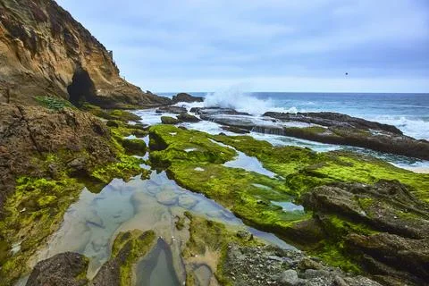 Thousand Steps Beach Cave Mossy Tidepools and Rocky Cove Laguna Beach Stock Photos