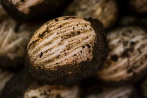 Thousand Year Egg Stock Photos