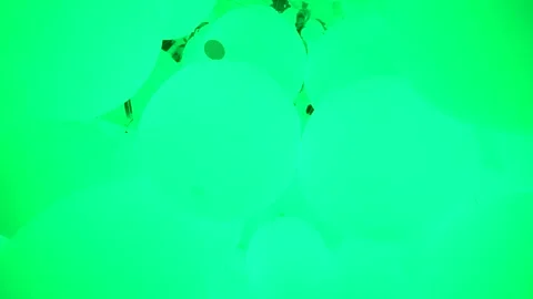 Thousands of balls in an infinite loop where Stock Footage 278545890