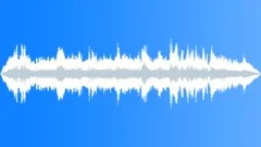 Thousands of Bees Sound Effect