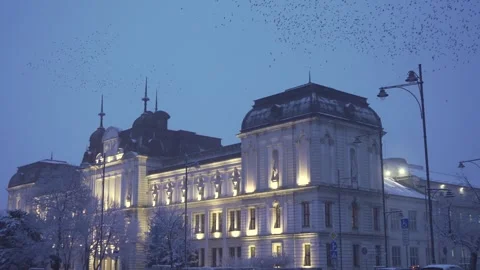 Thousands of birds fly over an architectural building in Sofia in winter Video stock 328318831