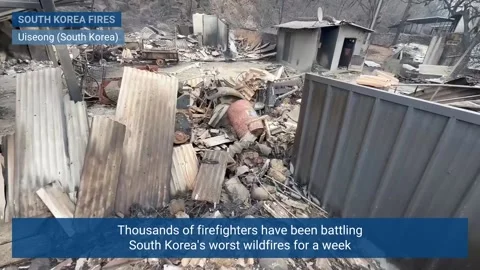 Thousands of firefighters continue to battle deadly fires in South Korea, UISEON Vidéo 305239188