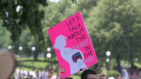 Thousands march and rally in support of legal abortion access in Minnesota Video stock 201950086
