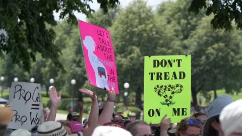 Thousands march and rally in support of legal abortion access in Minnesota Video stock 201950515