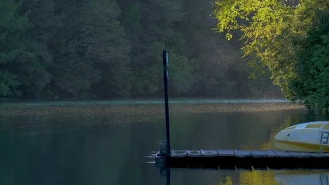 Thousands of mosquitoes Stock Footage 83061682