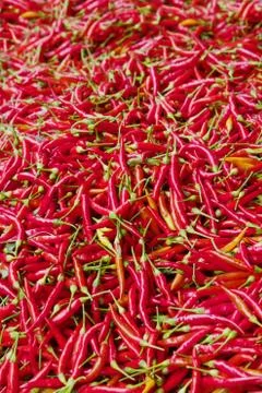 Thousands of red peppers Stock Photos