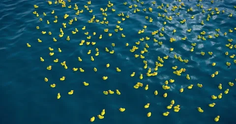 Thousands of rubber ducks in the ocean, 3D animation Stock Footage 131372553