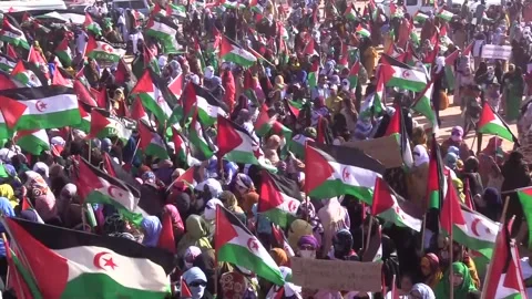 Thousands of Sahrawis protest against US proposal of Moroccan autonomy for Weste Stock Footage 320179689
