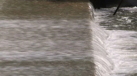 Thousands of salmon jumping and swimming at Bowmanville fish ladder in Autumn Stock Footage 41915052