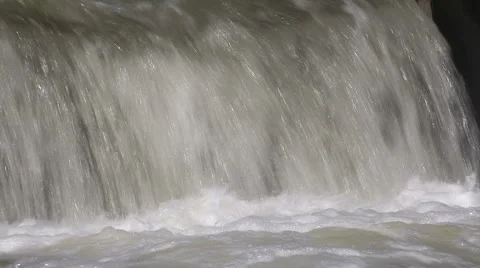 Thousands of salmon jumping and swimming at Bowmanville fish ladder in Autumn Stock Footage 41915625