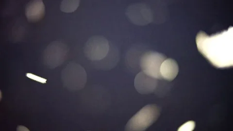 Thousands of swarming flying insects. Stock Footage 82588354