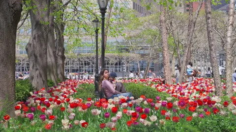 Thousands of Tulips bloom at Pump House Park in Brookfields Place in New York. Video stock 321379865