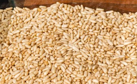 Thousands of unshelled pine kernels closeup in the view Foto stock