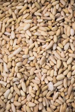 Thousands of unshelled pine kernels closeup in the view Foto stock