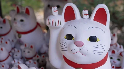 Thousands White Maneki Neko Statues Gotokuji Temple Stock Footage 327575911