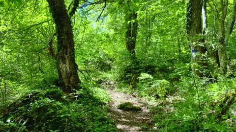 THRACIAN CMPLEXULT CO IN LOCALITY "PROPADA", NEAR MALKO TARNOVO Stock Footage 282707595