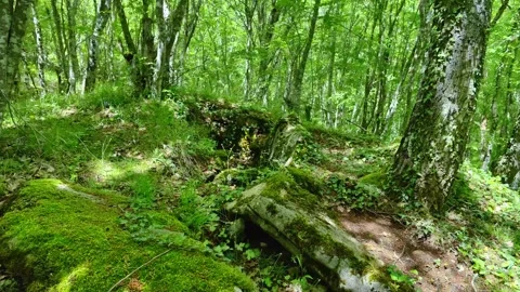 THRACIAN CMPLEXULT CO IN LOCALITY "PROPADA", NEAR MALKO TARNOVO Stock-Footage 284001692