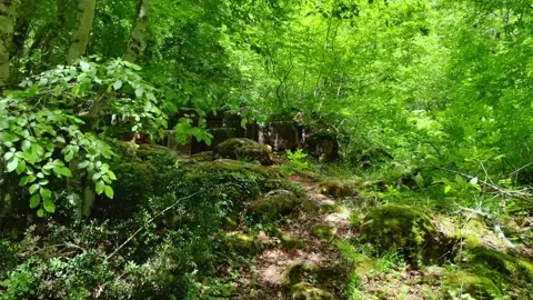 THRACIAN CMPLEXULT CO IN LOCALITY "PROPADA", NEAR MALKO TARNOVO Stock-Footage 284001708