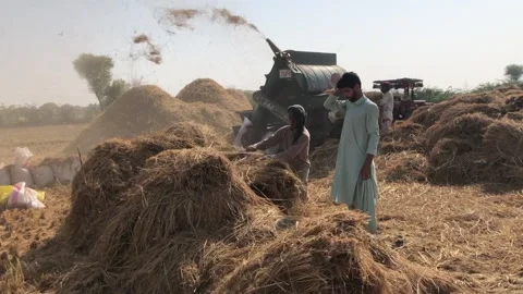 Thrasher machine Stock Footage 201910727